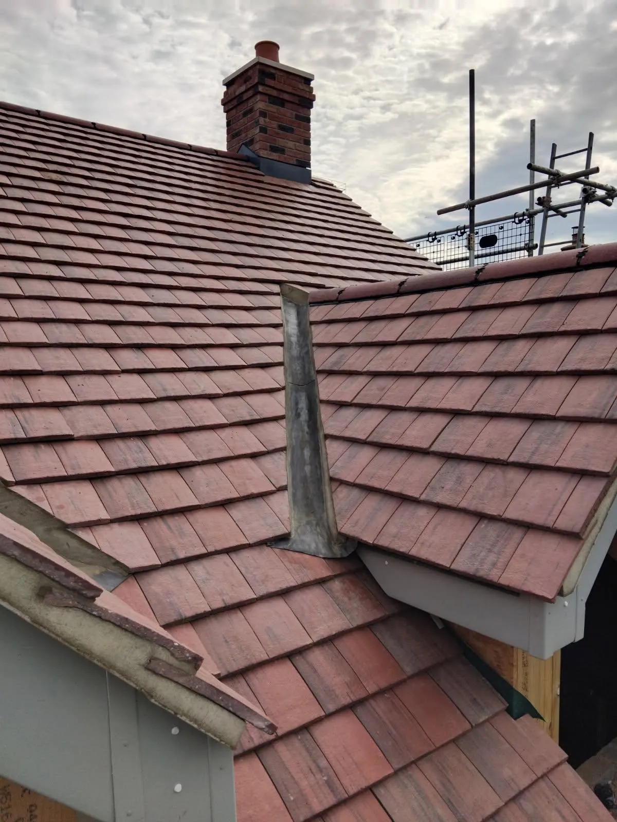 New clay plain-tile roof