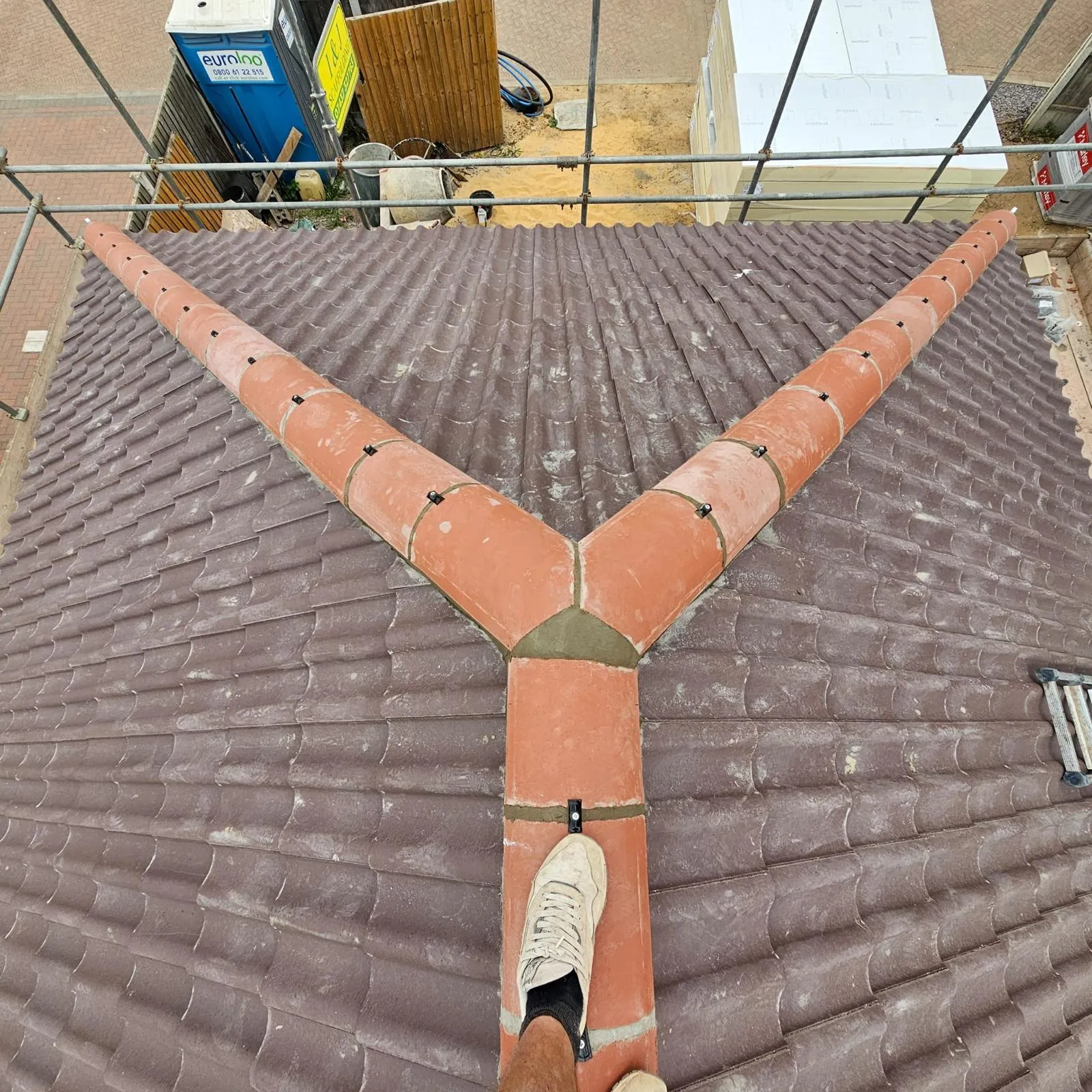 New hips and ridge